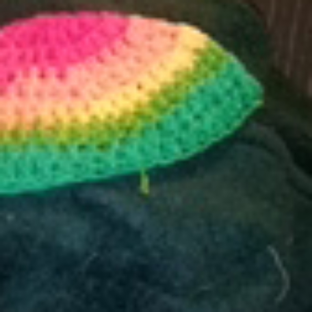 Crochet Beanie